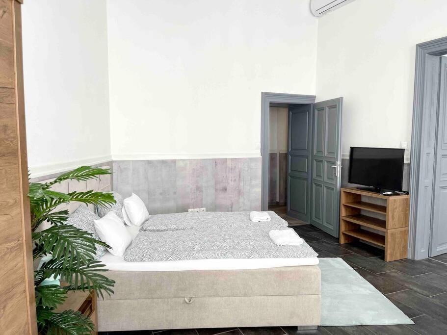 D3 Basilica Luxury Spacious Free Parking For 1 Car บูดาเปสต์ ภายนอก รูปภาพ